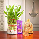 Bamboo plant in a glass jar, Cadbury Dairy Milk Silk chocolate, and a bag of nuts on a wooden table.